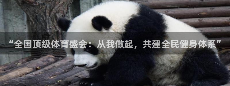 “全国顶级体育盛会：从我做起，共建全民健身体系”