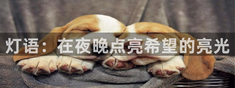灯语：在夜晚点亮希望的亮光
