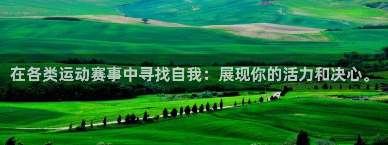 在各类运动赛事中寻找自我：展现你的活力和决心。
