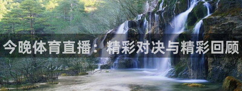 今晚体育直播：精彩对决与精彩回顾