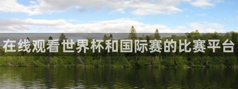 在线观看世界杯和国际赛的比赛平台