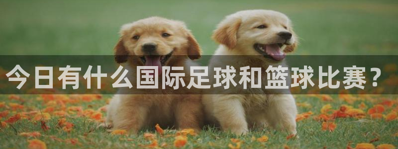 今日有什么国际足球和篮球比赛？