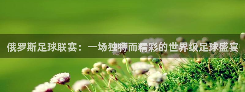 俄罗斯足球联赛：一场独特而精彩的世界级足球盛宴