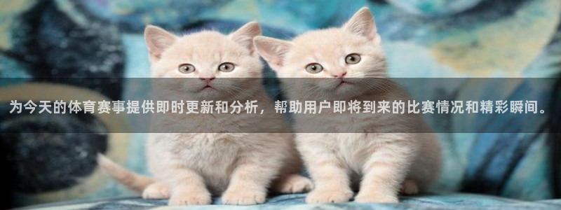 为今天的体育赛事提供即时更新和分析，帮助用户即将到来的比赛情况和精彩瞬间。
