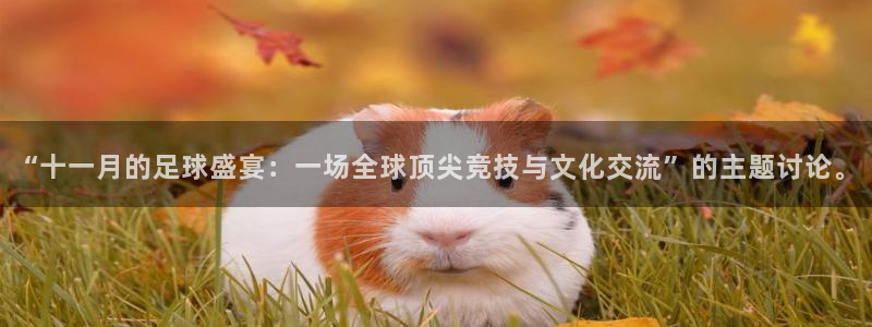 “十一月的足球盛宴：一场全球顶尖竞技与文化交流”的主题讨论。