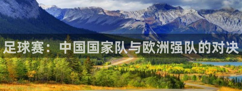 足球赛：中国国家队与欧洲强队的对决