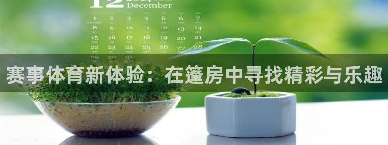 赛事体育新体验：在篷房中寻找精彩与乐趣