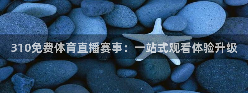 310免费体育直播赛事：一站式观看体验升级