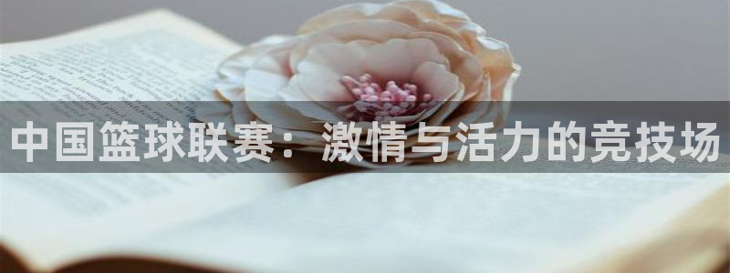 中国篮球联赛：激情与活力的竞技场
