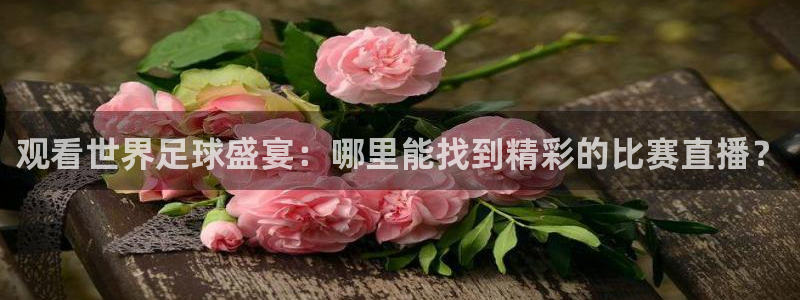 观看世界足球盛宴：哪里能找到精彩的比赛直播？