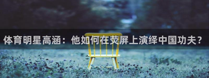 体育明星高涵：他如何在荧屏上演绎中国功夫？