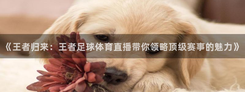 《王者归来：王者足球体育直播带你领略顶级赛事的魅力》