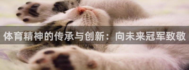 体育精神的传承与创新：向未来冠军致敬