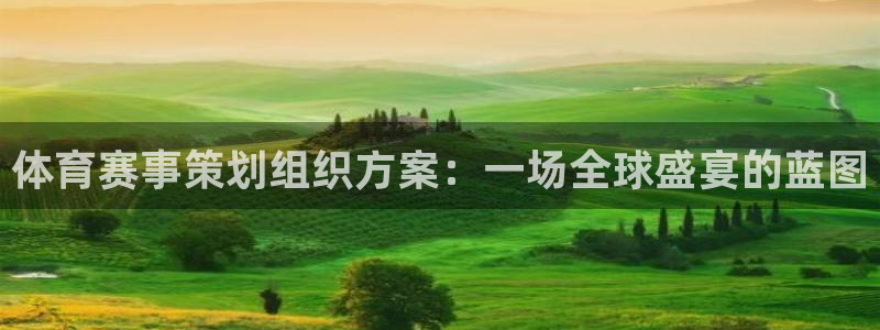 体育赛事策划组织方案：一场全球盛宴的蓝图