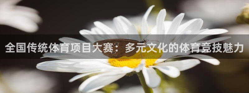 全国传统体育项目大赛：多元文化的体育竞技魅力