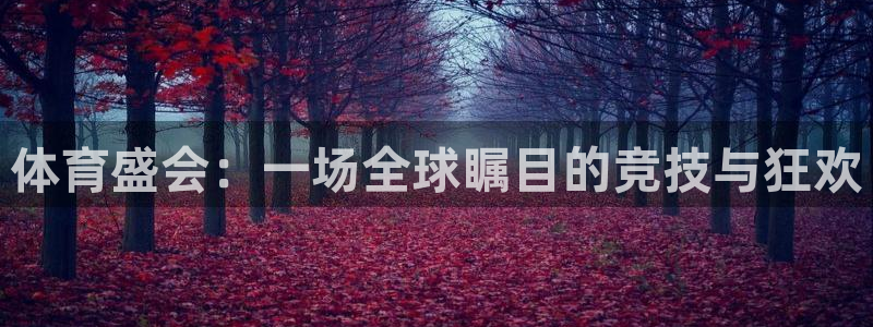 体育盛会：一场全球瞩目的竞技与狂欢