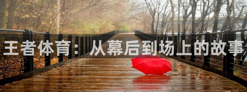 王者体育：从幕后到场上的故事