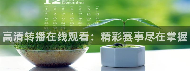 高清转播在线观看：精彩赛事尽在掌握