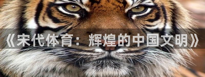 《宋代体育：辉煌的中国文明》