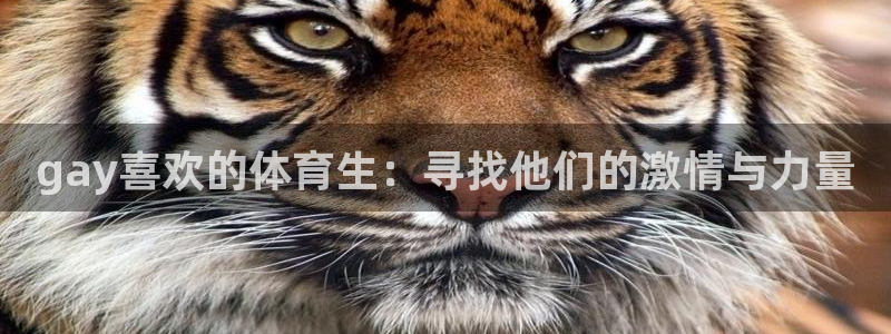 gay喜欢的体育生：寻找他们的激情与力量