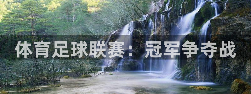 体育足球联赛：冠军争夺战