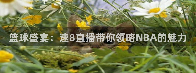 篮球盛宴：速8直播带你领略NBA的魅力