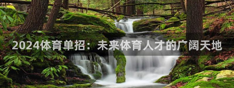 2024体育单招：未来体育人才的广阔天地