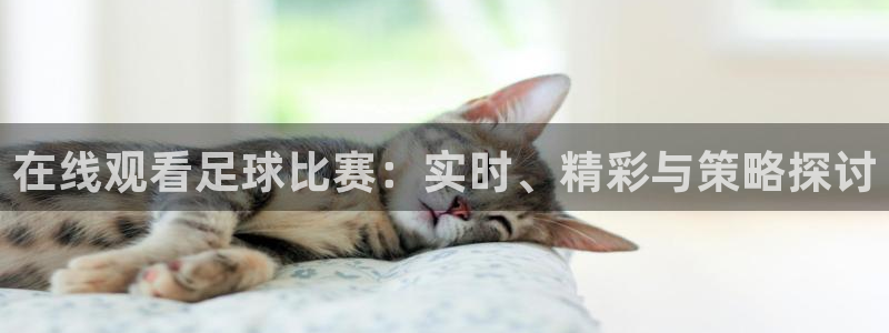 在线观看足球比赛：实时、精彩与策略探讨