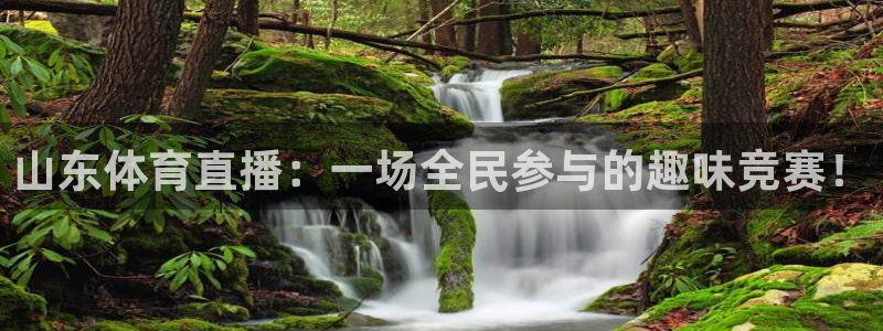 山东体育直播：一场全民参与的趣味竞赛！