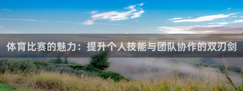 体育比赛的魅力：提升个人技能与团队协作的双刃剑