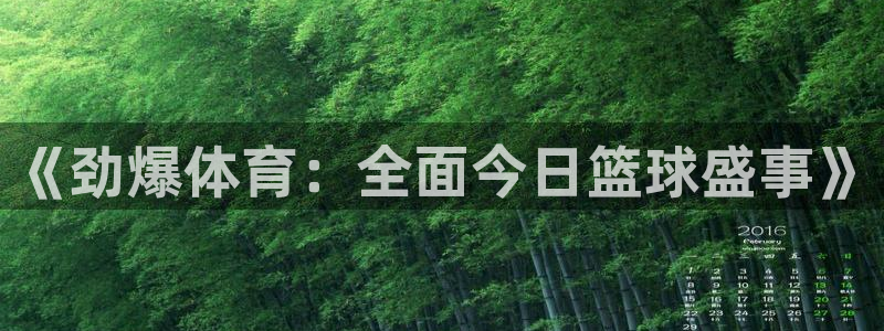 《劲爆体育：全面今日篮球盛事》