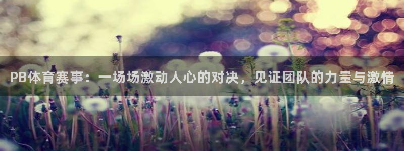 PB体育赛事：一场场激动人心的对决，见证团队的力量与激情
