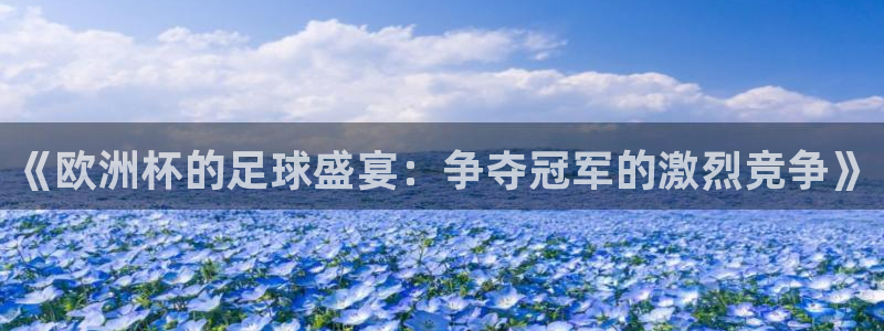 《欧洲杯的足球盛宴：争夺冠军的激烈竞争》