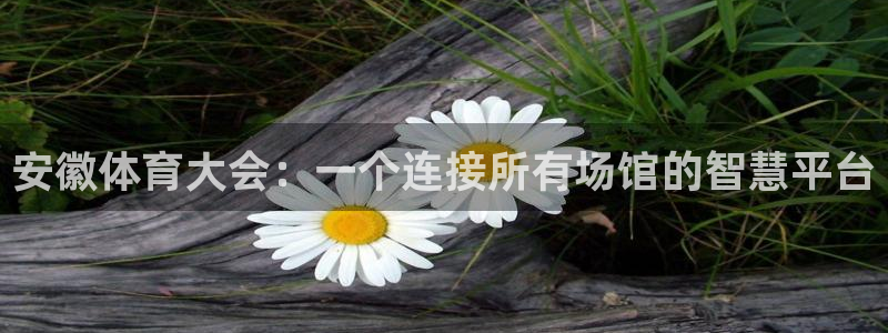 安徽体育大会：一个连接所有场馆的智慧平台